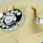 302 - Ivory - Chrome Trim